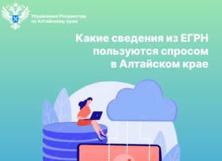 В региональном Роскадастре рассказали о наиболее востребованных выписках из ЕГРН