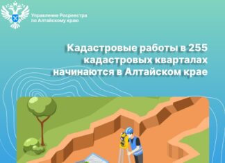 Кадастровые работы в 255 кадастровых кварталах начинаются в Алтайском крае