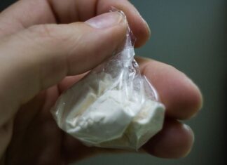 Для медведей и слонов: в Алтайском крае предотвращена реализация аналога синтетического героина, уголовное дело направлено в суд
